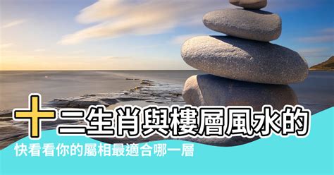 屬鼠方位|【屬鼠適合方位】看準風水選房！屬鼠人在家就能提升運勢的方位。